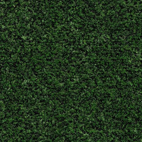 Ковролин Forbo Coral Brush с кантом 5708 avocado green (фото 1)