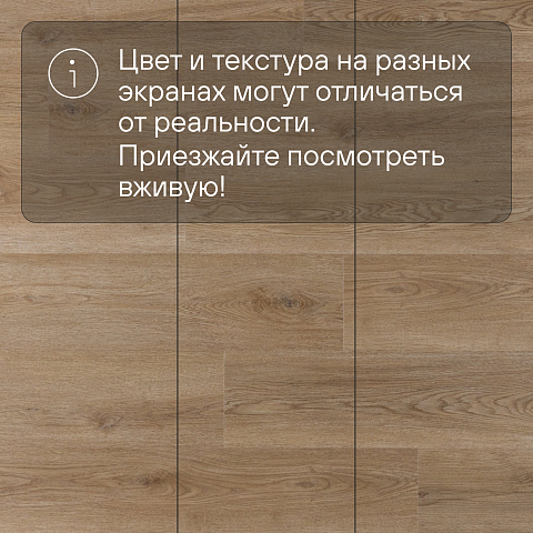 Norland Sigrid SPC (CH) 1001-20 Niky 4V 34кл (фото 10)