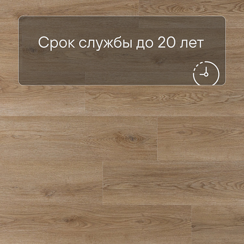 Norland Sigrid SPC (CH) 1001-20 Niky 4V 34кл (фото 6)