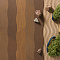 Coswick Сила природы Чайный лист 3-х слойная T&G 1186-1576 Катана (Порода: Дуб, Селект энд Бэттер) Шелковое масло ультраматовое (миниатюра фото 3)
