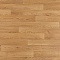 Premium Falco 2_1159 (миниатюра фото 1)