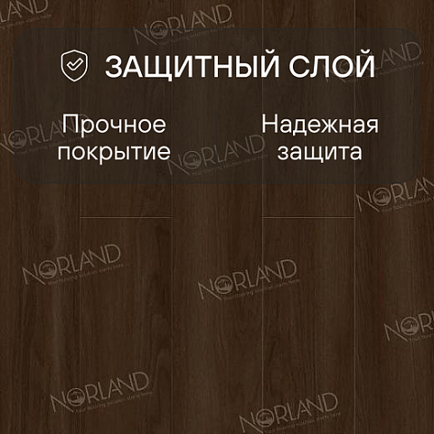 Norland Elegant Strong 12 4V 34 (CH) LF302-22 Дуб Треско (фото 2)